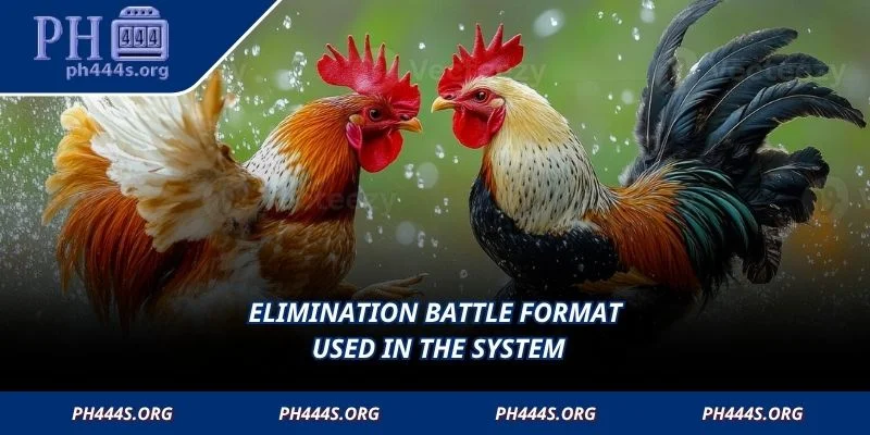 Elimination battle format used in the system