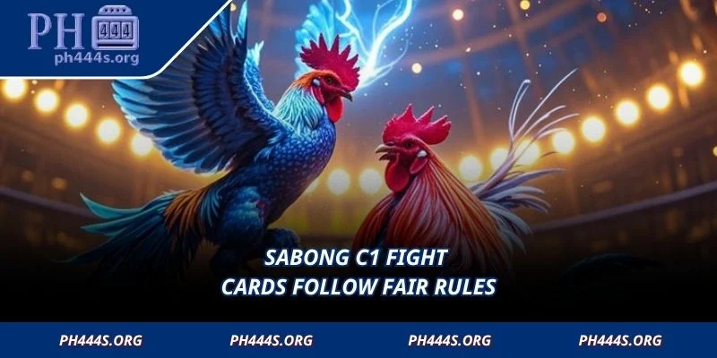 Cockfighting C1 fight cards follow fair rules
