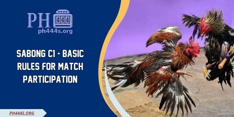 Sabong C1 - Basic Rules For Match Participation