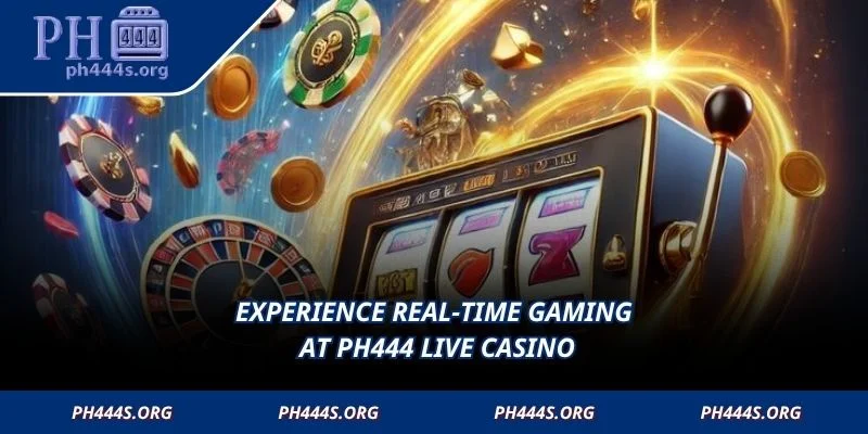 Experience real-time gaming at PH444 Live Casino
