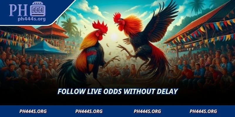 Follow live odds without delay