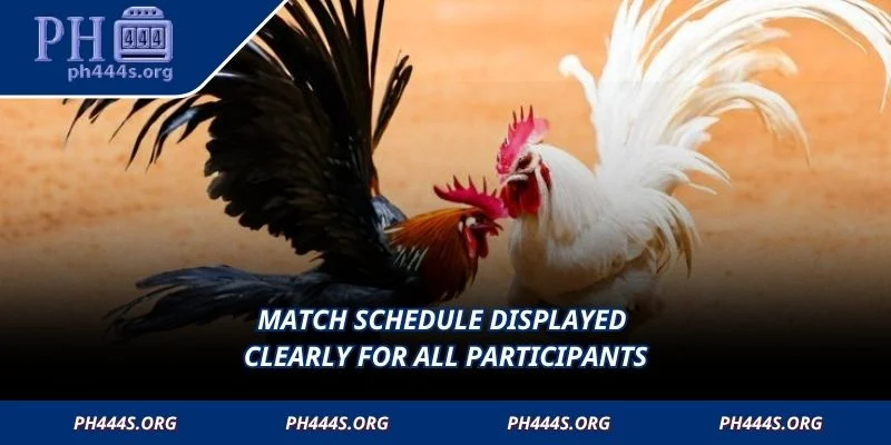 Match schedule displayed clearly for all participants