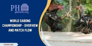 World cockfighting Championship - Overview And Match Flow