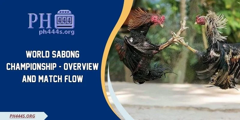 World cockfighting Championship - Overview And Match Flow