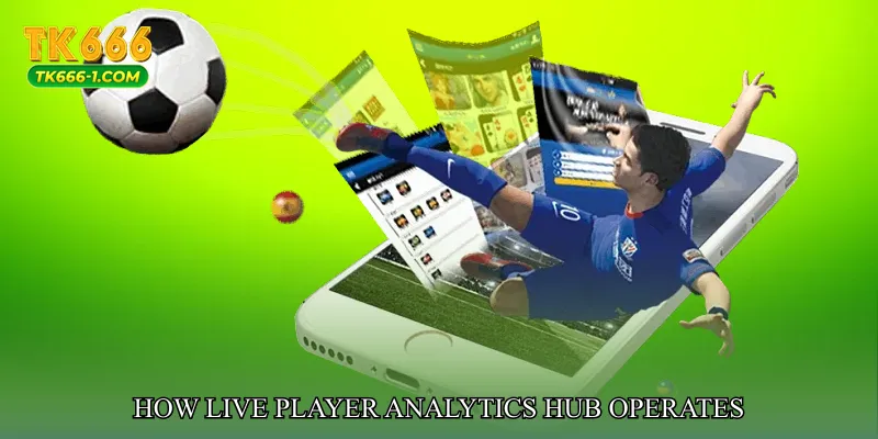How Live Player Analytics Hub Operates
